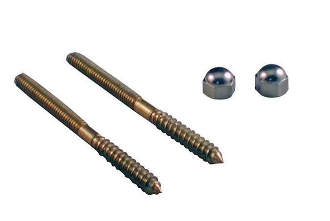 Toilet screw