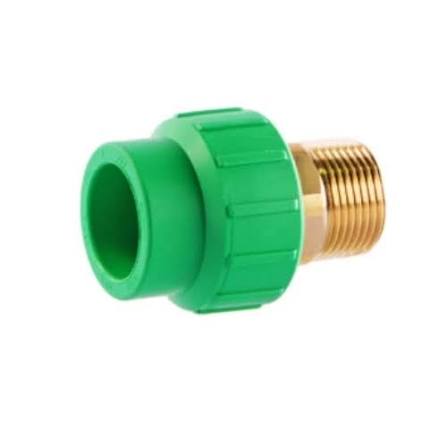 PPR MALE SOCKET 25*25